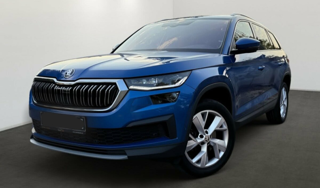 2.0 TSI 4X4 CRYSTAL MATRIX LED WEBASTO KAMERA