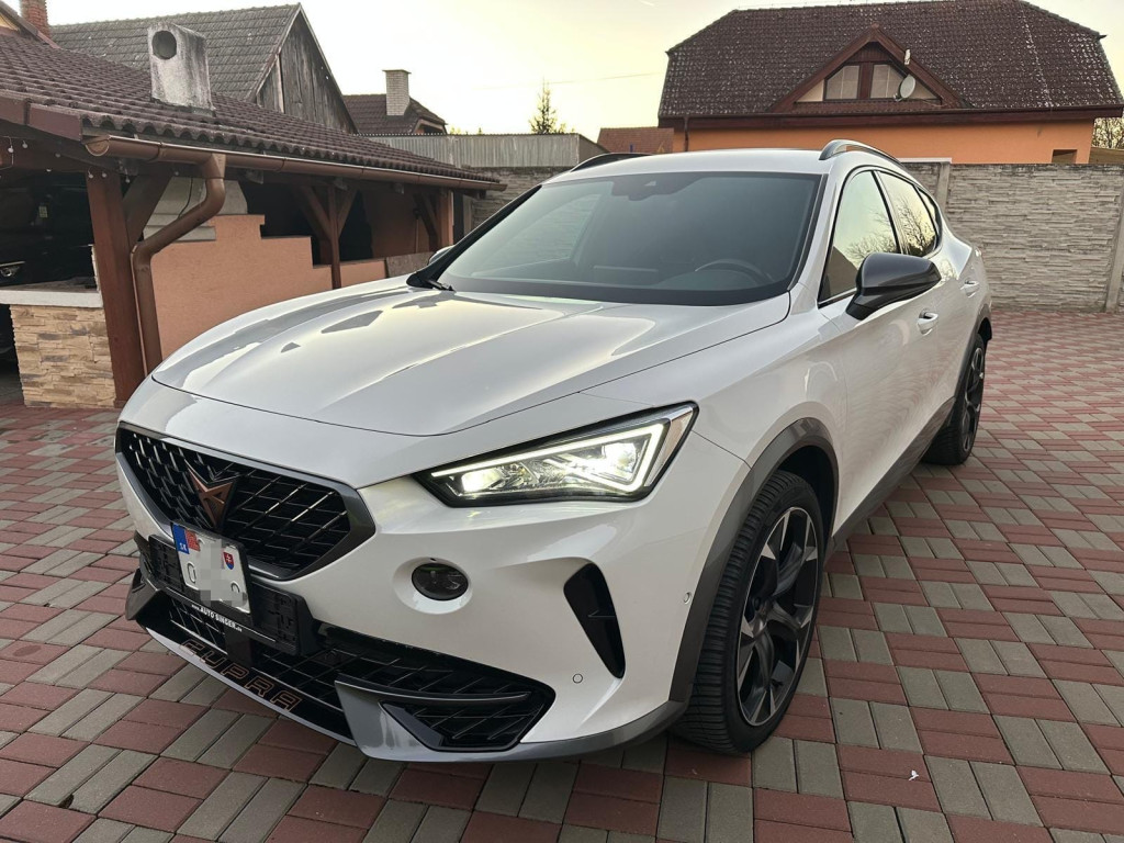 VZ 2.0 TSI 180kW 41.305km DSG Benzín Virtual 